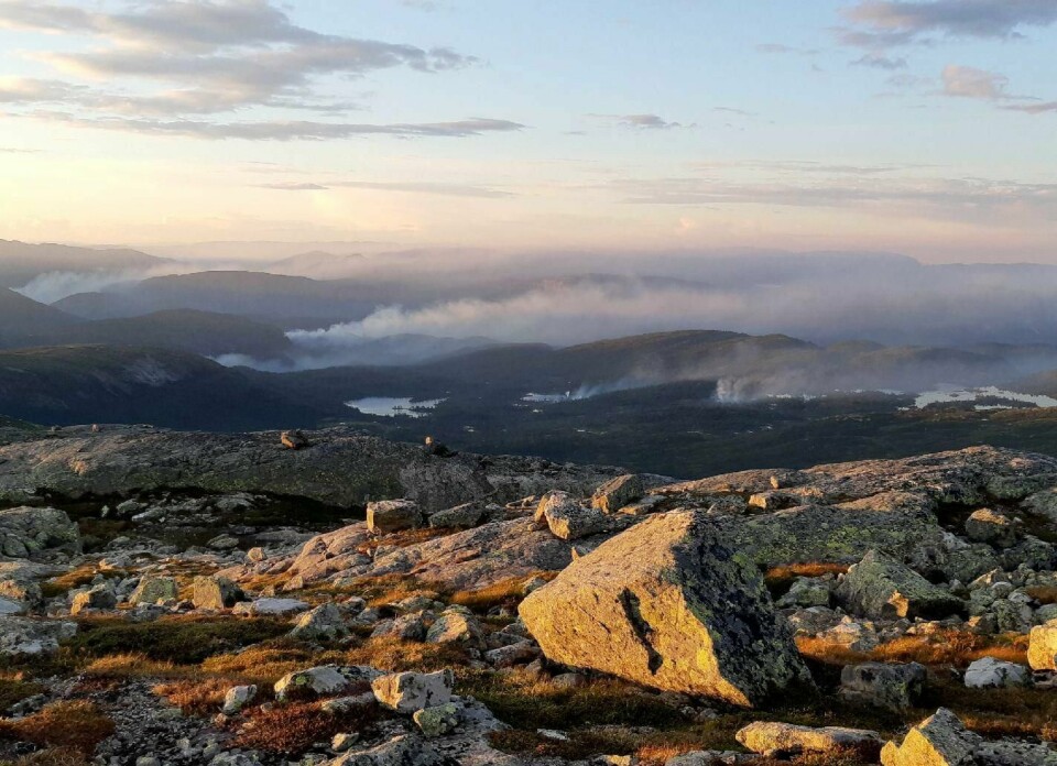 Oslo 20180712.
Det er svært tørt i hele Øst - Norge. Flere steder er det meldt om skogbrann. Bilde er fra Skammefjellet i Valle i Setesdal.
Foto: Rolf Andre Grimsby / NTB scanpix