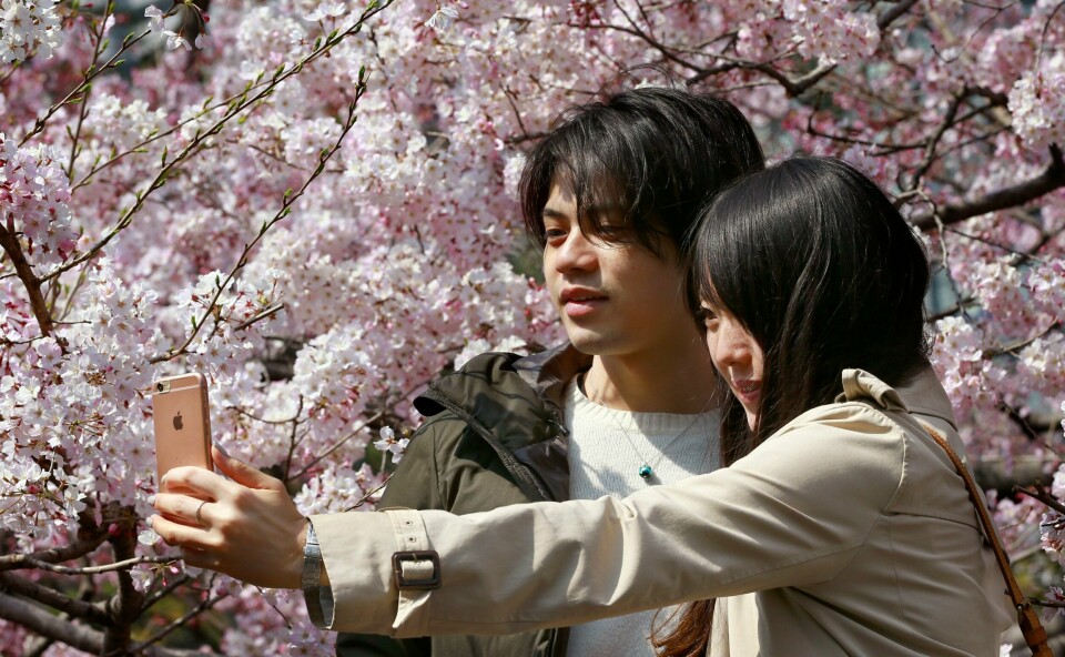 SELFIE: Det unge paret nyter de vakre blomstene på kirsebærtreet. Mange japanere og turister reiser hver vår for å se på blomstringen i Japan.