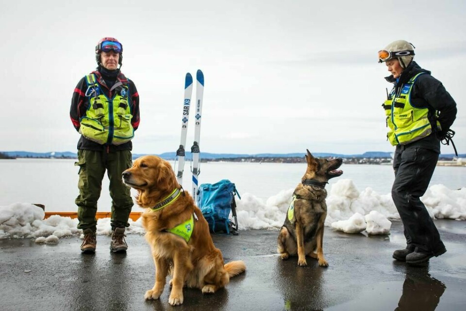REDDER: Steinar Sjaastad, hunden Doffen, hunden Carmen og Ann Kristin Sogn redder folk i fjellet. Her er de på en kai i Oslo sentrum.