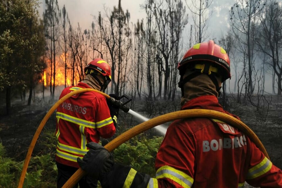 BRANN: 2000 brannfolk jobber fortsatt med å slukke branner. Bildet viser ryggene til to brannfolk. De bærer slanger. I bakgrunnen er det store flammer og skog.