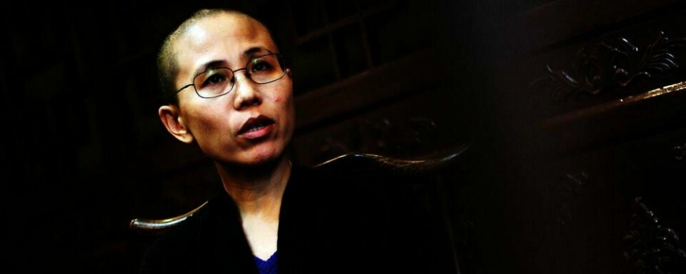 HUSARREST: Liu Xia (bildet) er gift med fredspris-vinner Liu Xiaobo. Hun sitter i husarrest i leiligheten sin i Beijing.