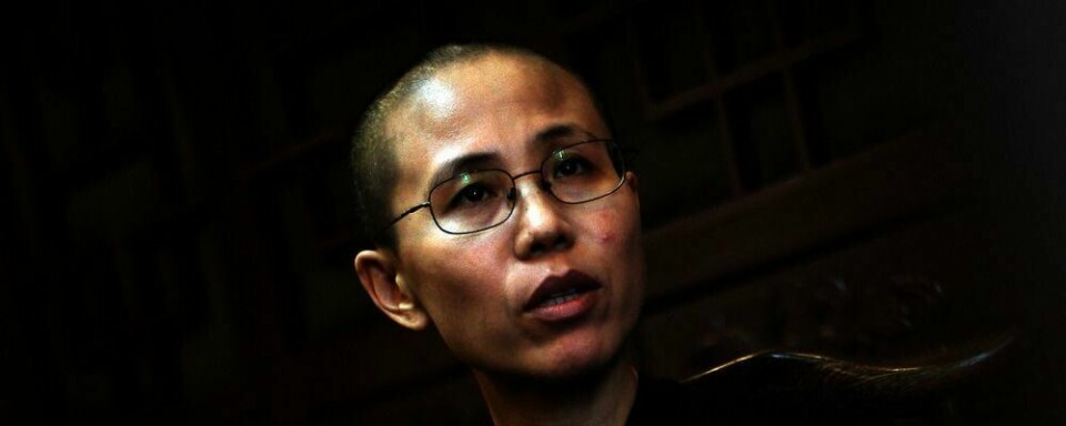NEKTES: Nobel-vinnerens kone Lui Xia ber venner hente Nobelprisen. Hun og mannen Lui Xiaobo nektes trolig å reise.