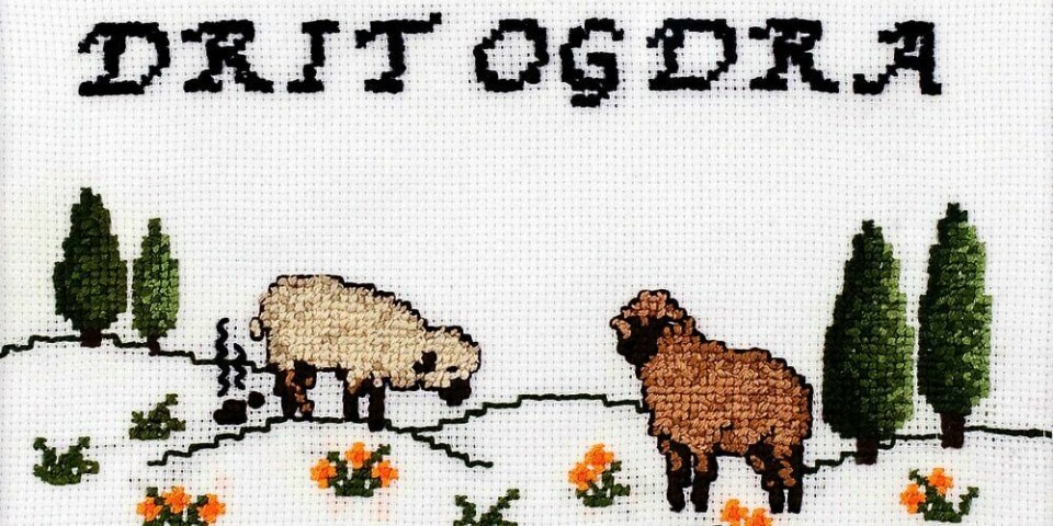 TRADISJON: Brodering er en gammel tradisjon i Norge. Nå bytter folk ut hyggelige ord og hilsner. Gerilja-broderistene skriver heller sinte ord.