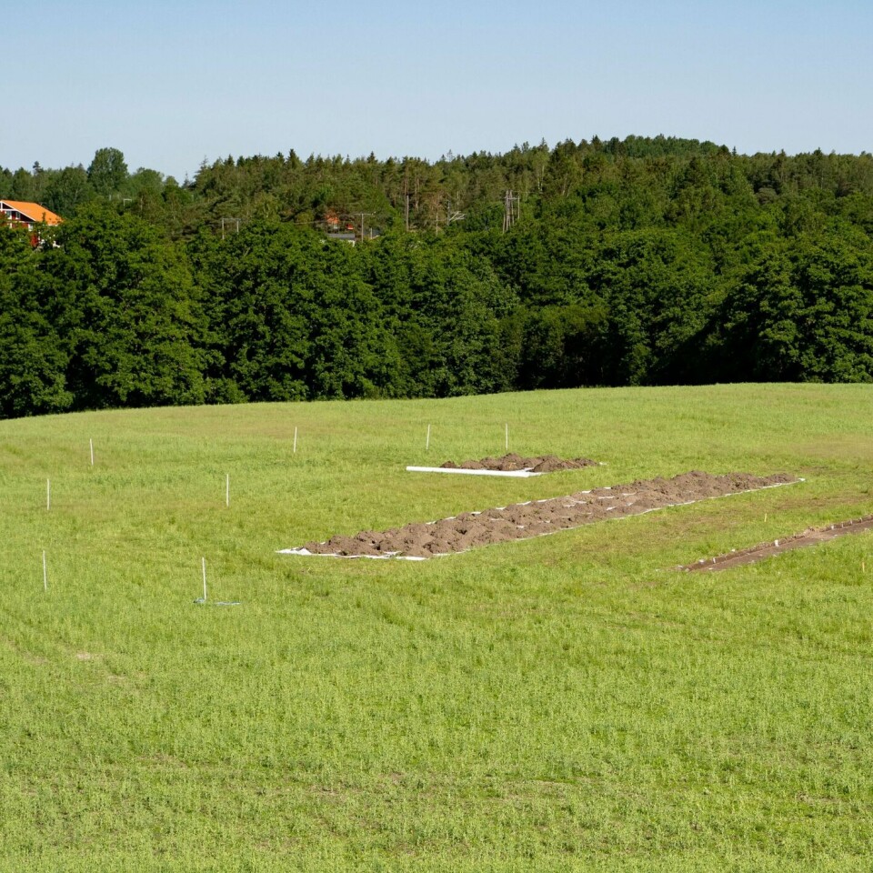 SKIP: Under bakken ligger et gammelt skip. Arkeologer graver det fram utenfor Halden.