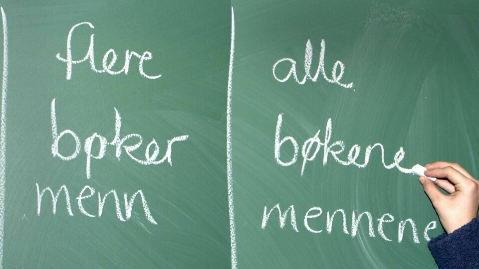 OPPLÆRING: Innvandrere som trenger det, må lære bedre norsk for å få sosialhjelp. Det foreslår regjeringen.