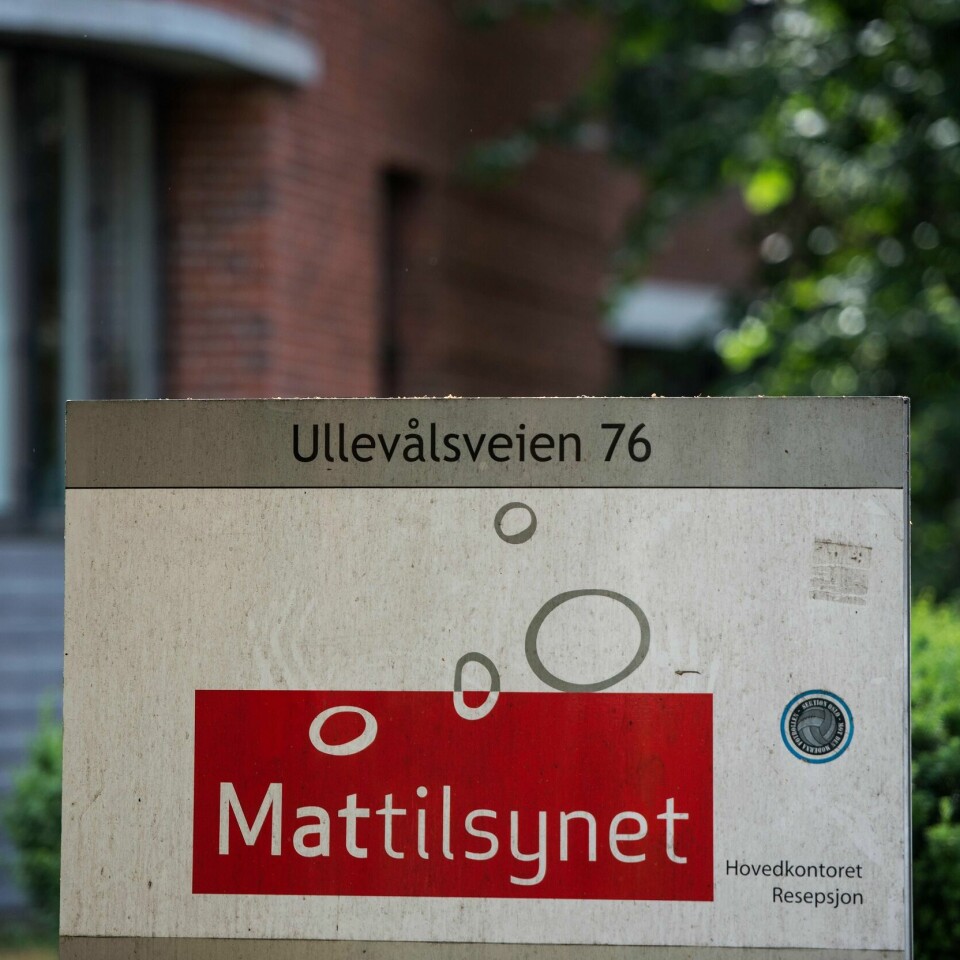 HALVPARTEN: De fleste er snille med kjæledyrene sine, sier Mat-tilsynet. Men de har funnet brudd på reglene halvparten av sakene de har undersøkt i år.