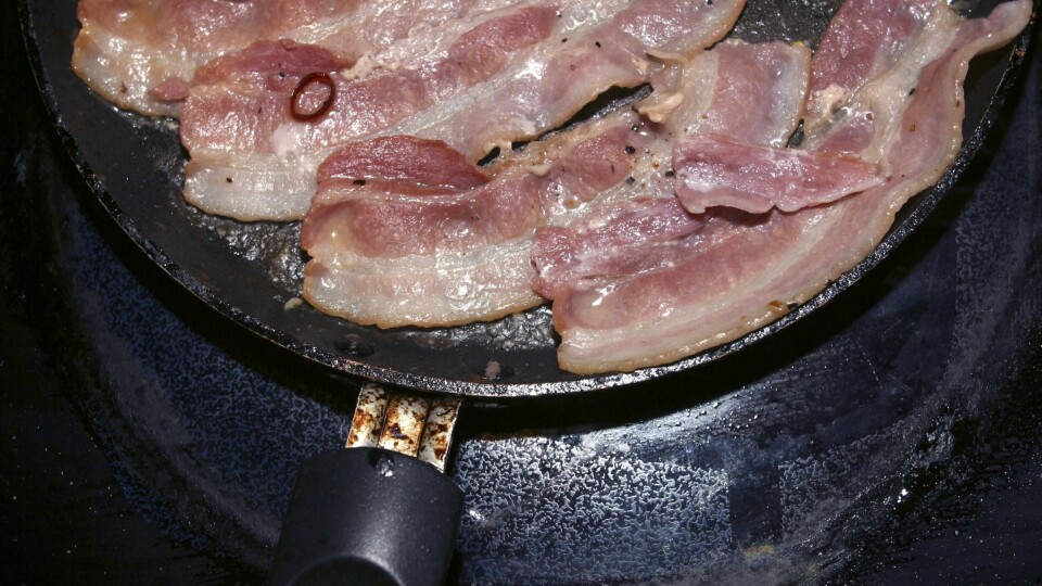 BACON: Vi kjøper fortsatt svinekjøtt, selv om en dokumentar viste at griser hadde det fælt.