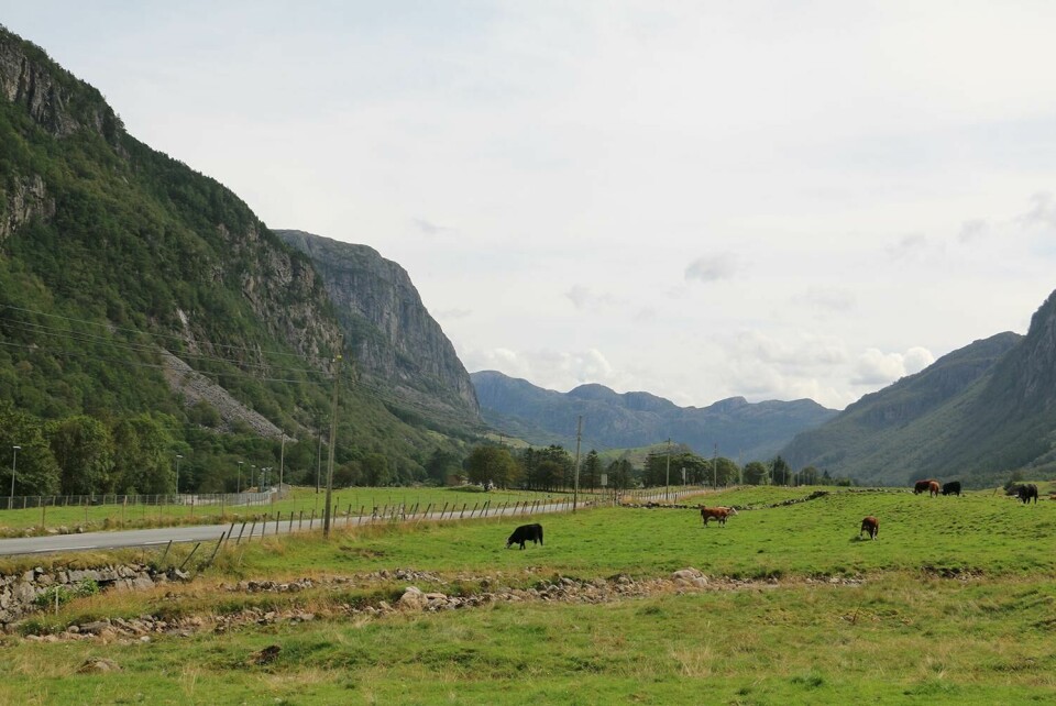 INNGREP: Svære vindmøller vil bli godt synlige i dette landskapet. Det dersom de settes opp på fjellområdet i midten. Bildet viser et landskap med fjell og dal. Svære vindmøller vil bli godt synlige i dette landskapet. Det dersom de settes opp på fjellområdet i midten.