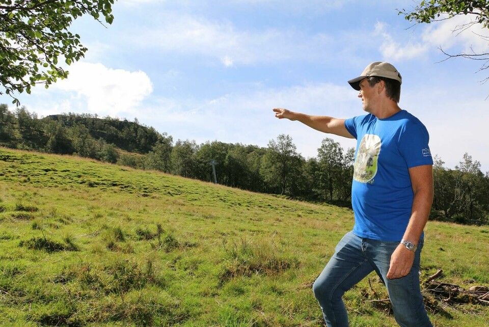 NÆRT: Tor Line vil få vindmøllene tett på hytta si. Det er dersom Fred. Olsen Renewables bestemmer seg for å bygge vindkraftverket på Giljastølen. Bildet viser Tor Line som peker opp mot området hvor Gilja vindkraftverk er planlagt. Det vil komme tett på hytta hans, dersom planene blir noe av.