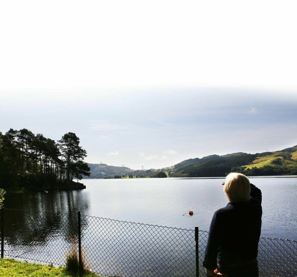 SYNES: Ordfører Frode Fjeldsbø ser mot de få vindmøllene som allerede finnes i kommunen. Snart kan det komme mange flere.