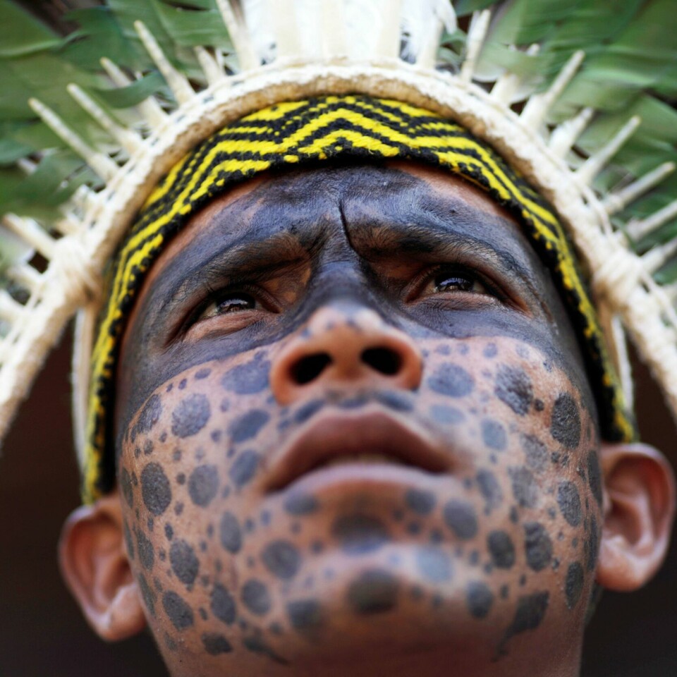 Ber for Amazonas