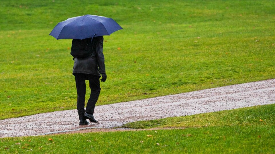 HØST: Det er ventet regn og vind framover. Meterologene mener folk kan forberede seg på høstvær.