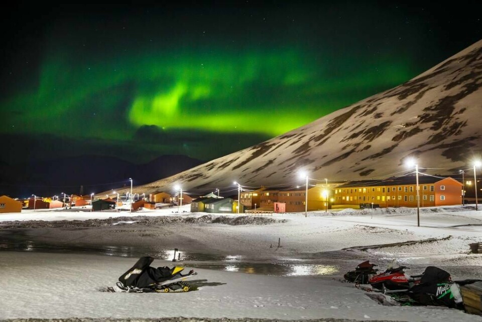 TETTSTED: Isbjørner holder seg stort sett unna Longyearbyen på Svalbard. Men natt til tirsdag kom tre bjørner på besøk. Bildet er tatt i fjor vinter.