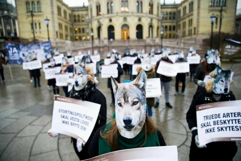 MASKER: Slik så dyrevernerne ut mandag. De kjempet for ulven utenfor Stortinget i Oslo.