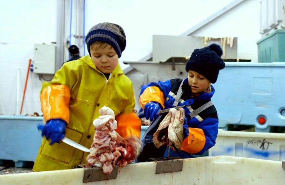 JOBB: Barn jobber med å skjære tunger av torsk. Nå har jobben deres blitt til dokumentaren «Tungeskjærerne».