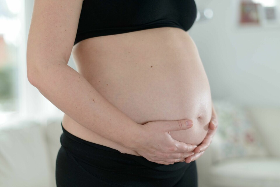ZIKAVIRUS: Fem gravide kvinner i Norge har hatt zikaviruset. Folkehelseinstituttet skal finne ut om kvinnene var syke før de ble gravide.