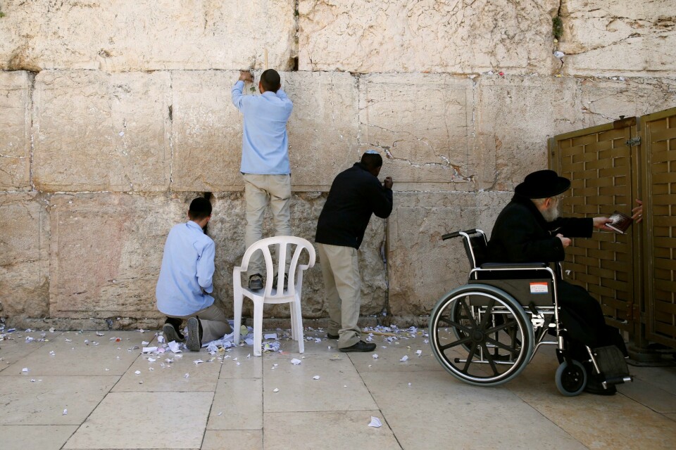 LAPPER: Fire menn plukker lapper med bønner fra den hellige muren Jerusalem i Israel.