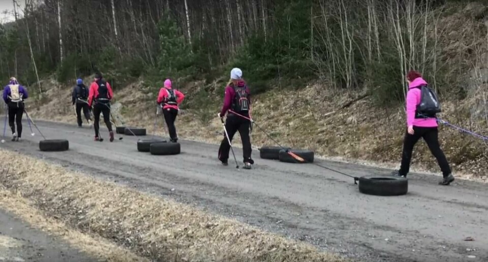 Se video: Møtte ulven på tur i Oslo ###