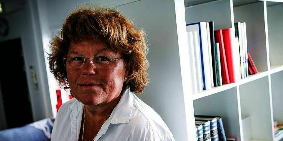 FORFATTER: Anne Holt har skrevet bøker i snart 20 år. Den siste boka hennes var vanskelig å skrive. Den handler om vold mot et barn.