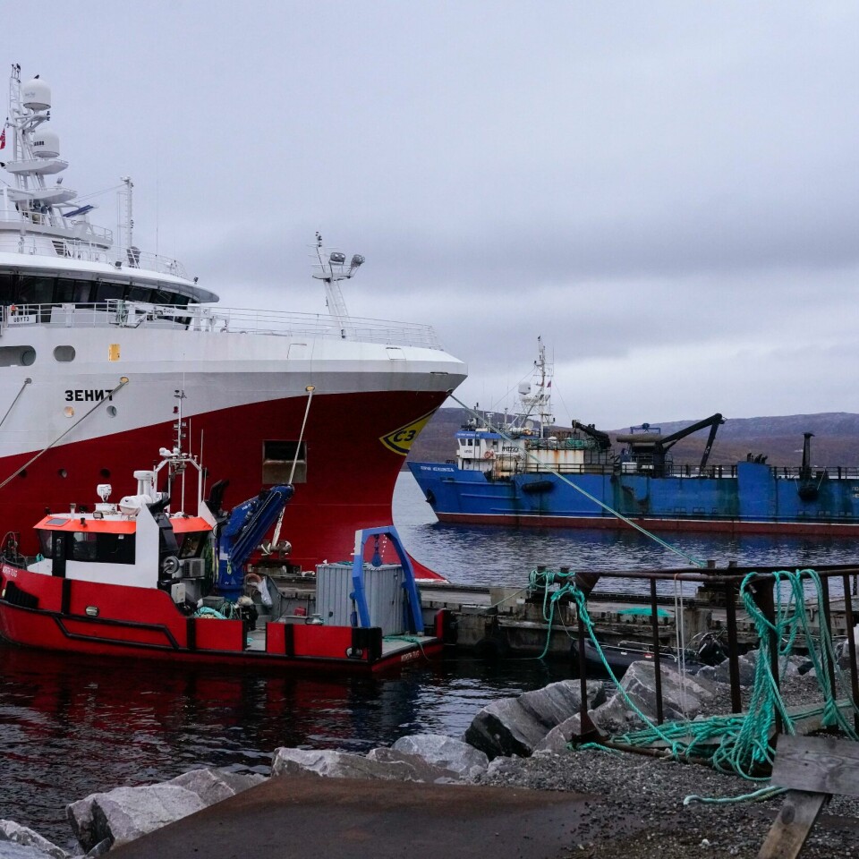 KIRKENES: Russiske fiskebåter ved kai i Kirkenes. Den mindre båten i forgrunnen er norsk. Bildet viser russiske fiskebåter ved kai i Kirkenes. Den mindre båten i forgrunnen er norsk.