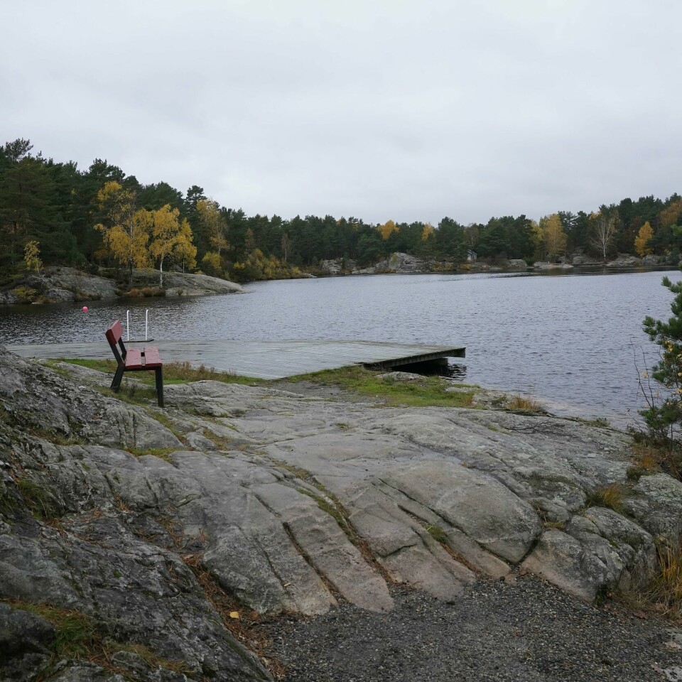 BANEHEIA: To jenter ble drept i Baneheia i Kristiansand i år 2000. Bildet viser Baneheia i Kristiansand.