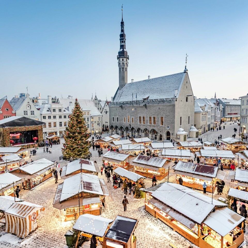 TALLINN: Her har juletreet på torget vært en tradisjon siden 1441. TALLINN: Her har juletreet på torget vært en tradisjon siden 1441. Foto: Shutterstock / NTB