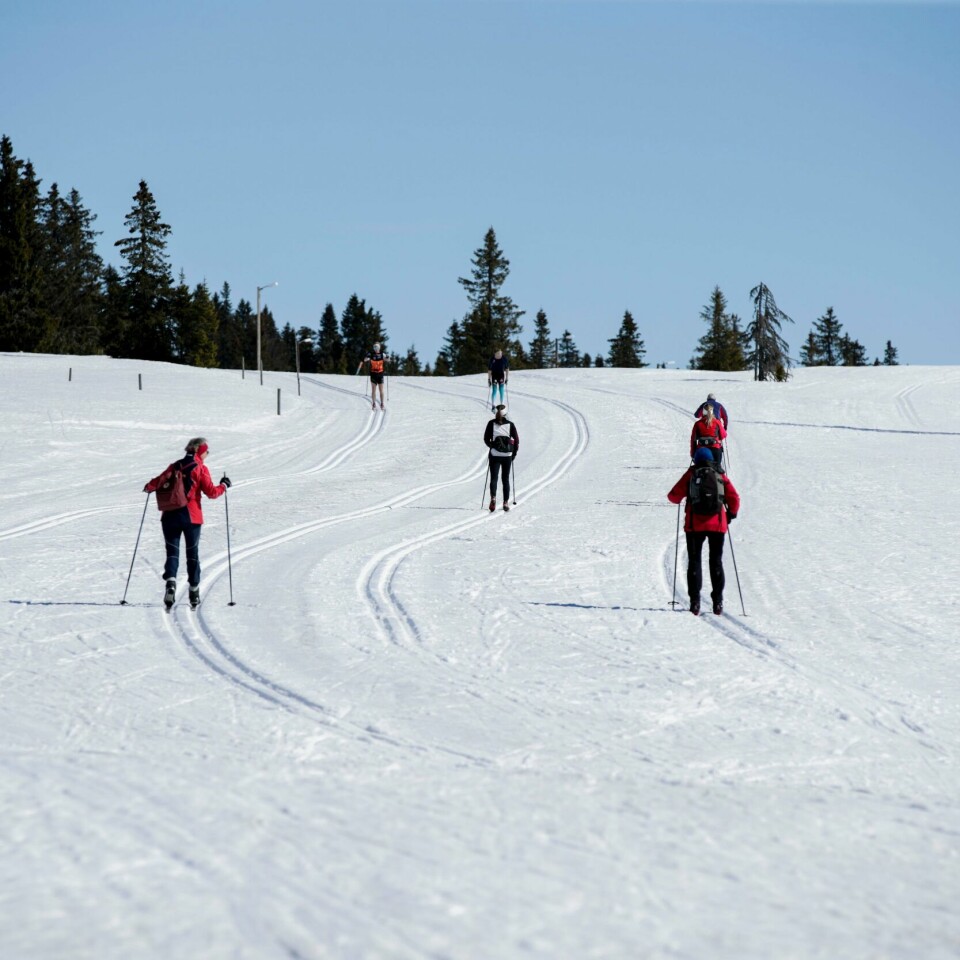 SKI: Det snør lite, men noen steder kan de gå på ski. Bildet er fra Sjusjøen april 2020. Jevnt over lite snø og dårlig med skiføre i neste uke. Bilde tatt på Sjusjøen i april 2020. Illustrasjonsfoto: Vidar Ruud / NTB