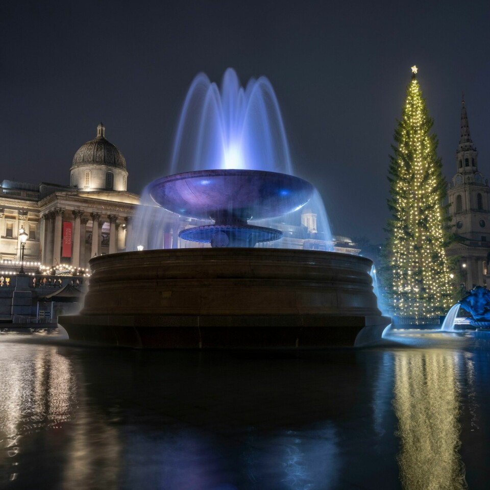 LONDON: Det norske juletreet lyser opp Trafalgar Square i London torsdag. Det norske juletreet lyser opp Trafalgar Square torsdag. Foto: Kin Cheung / AP / NTB