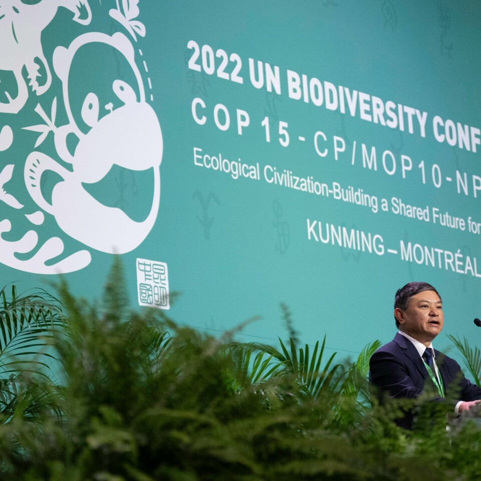 NATUR: – Avtalen er vedtatt, sa den kinesiske miljøministeren Huang Runqiu. Han ledet naturtoppmøtet. – Pakken er vedtatt, sa den kinesiske miljøministeren Huang Runqiu, som leder naturtoppmøtet, til rungende og høy applaus fra salen mandag. Foto: Paul Chiasson / AP / NTB