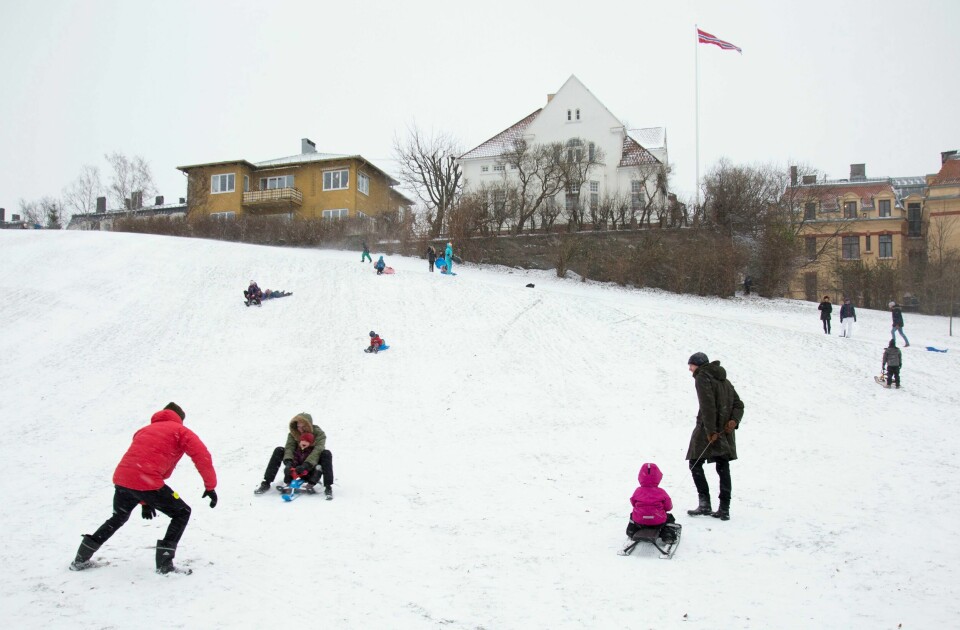JUL: Mange drømmer om en hvit jul. Og for enkelte er det ingen jul før det kommer snø.
