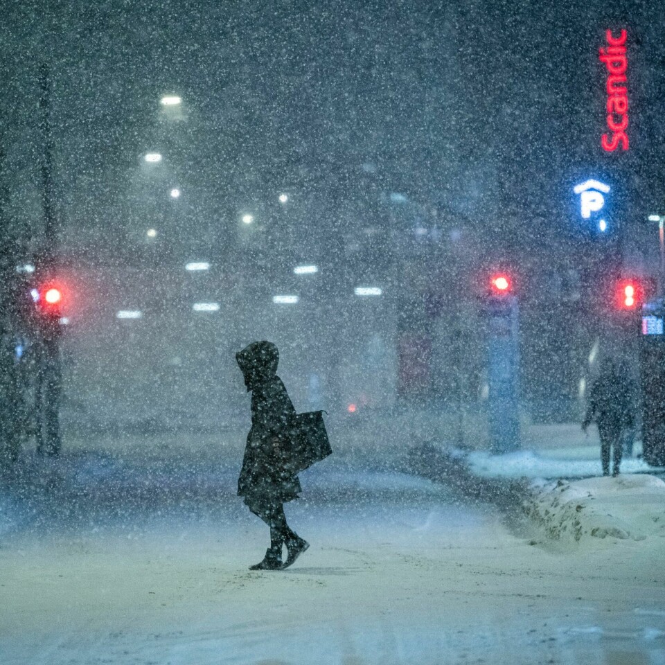 SNØ: Det er ventet mye snø i Sør-Norge torsdag. Det kan føre til utfordringer i trafikken. Det er ventet mye snø i Sør-Norge torsdag. Det kan by på utfordringer i trafikken. Foto: Rodrigo Freitas / NTB