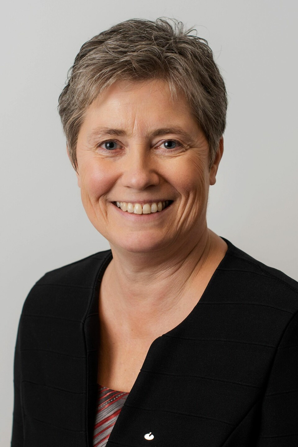 Avdelingsdirektør Anita Gjesbakk i Skatteetaten. Bilde av Anita Gjersbakk i Skatteetaten.