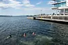 Bildet viser folk som bader i Oslo.
