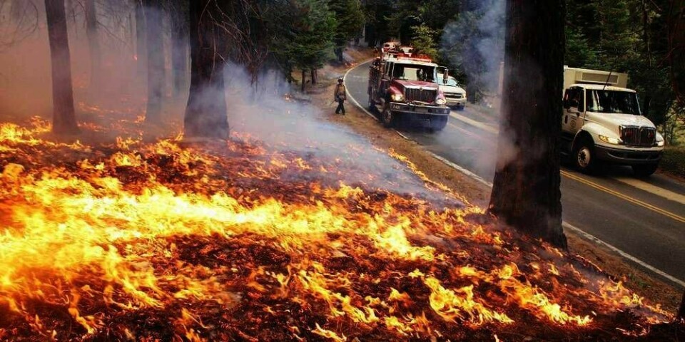 BRANN: Brannen i California i USA ble startet av et bål som kom ut av kontroll.