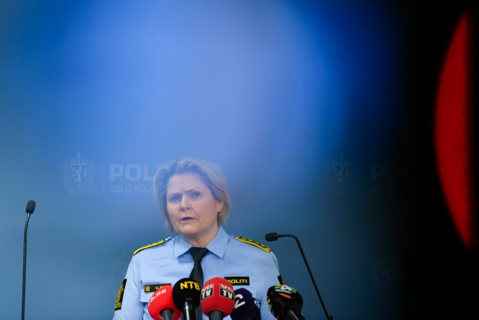 DRAP: Politi-inspektør Grete Lien Metlid snakket med pressen om etterforskningen av drapene i Nes. Politiinspektør Grete Lien Metlid orienterte pressen om etterforskningen av trippeldrapene i Nes. Foto: Annika Byrde / NTB