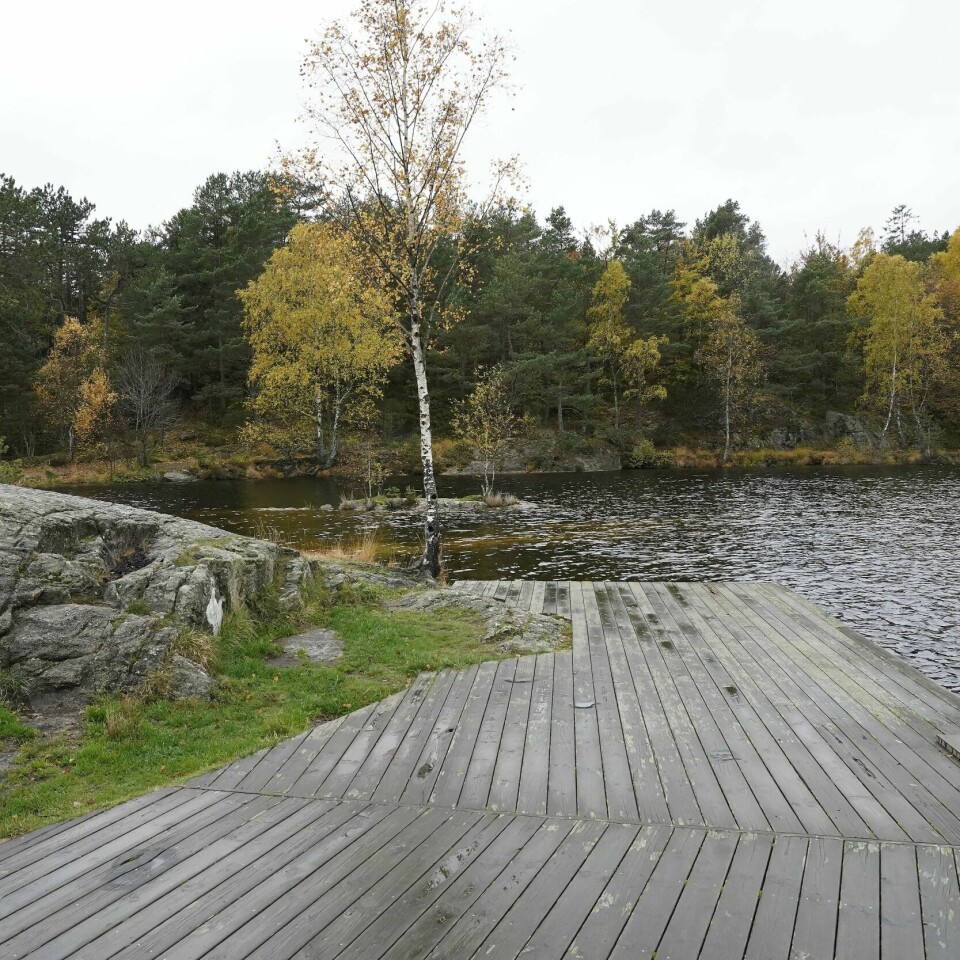 BANEHEIA: Lena Sløgedal Paulsen og Stine Sofie Sørstrønen ble drept. Det skjedde i Baneheia i Kristiansand 19. mai 2000. Bildet er fra Baneheia i Kristiansand.
