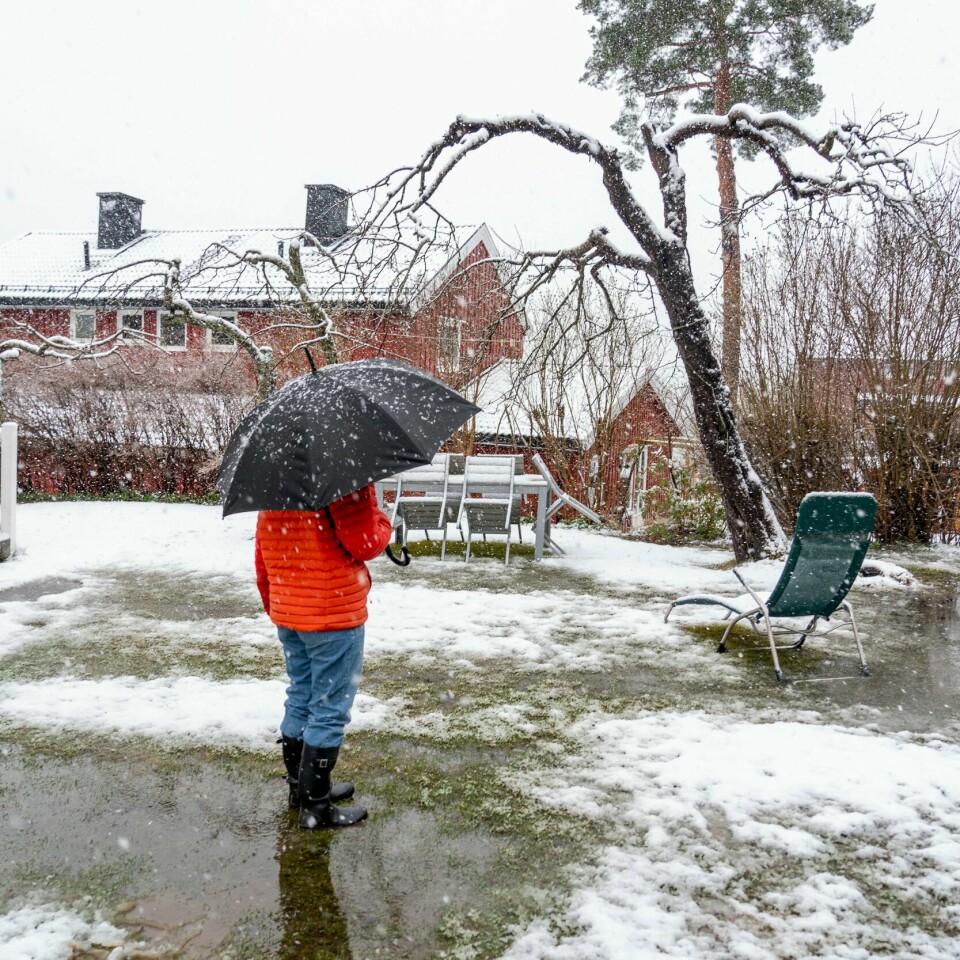 VÆR: Slik kan været se ut for mange til helga. Meteorologen synes det er vanskelig å anslå om milde temperaturer vil slå ut som snø, regn eller sludd på Østlandet inn mot helgen. Foto: Heiko Junge / NTB