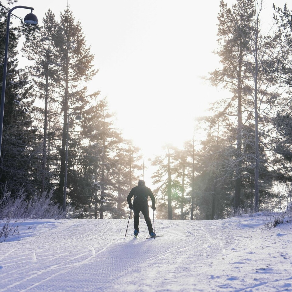 VÆR: De verste stormene er bak oss, sier meteorologen. Stormene er bak oss, og det er denne uken meldt minusgrader og oppholdsvær i store deler av landet. Trosser man vinden, har man gode muligheter til å ta en skitur i helgen. Foto: Beate Oma Dahle / NTB