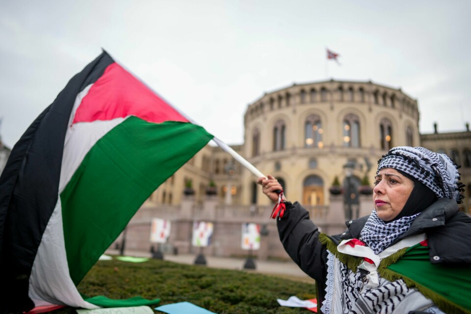 PALESTINA: Mange har demonstrert i Oslos gater. De vil at Norge skal anerkjenne Palestina som egen stat. Bildet viser norkspalestinske Semira Shakr på Eidsvolls plass før avstemmingen i Stortinget om forlaget om å anerkjenne Palestina som egen stat.