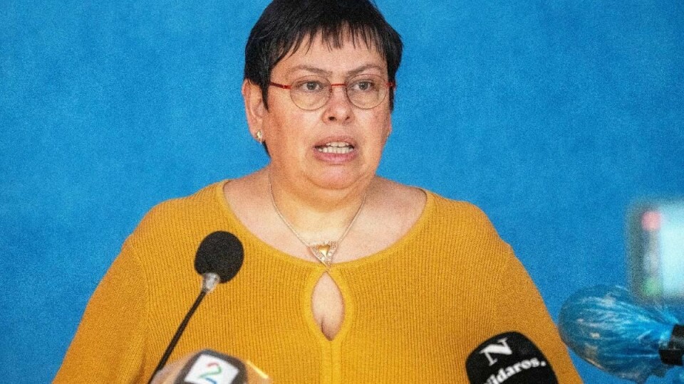 BEKYMRET: Ordfører Rita Ottervik i Trondheim er bekymret. De får smitte fra utlandet.