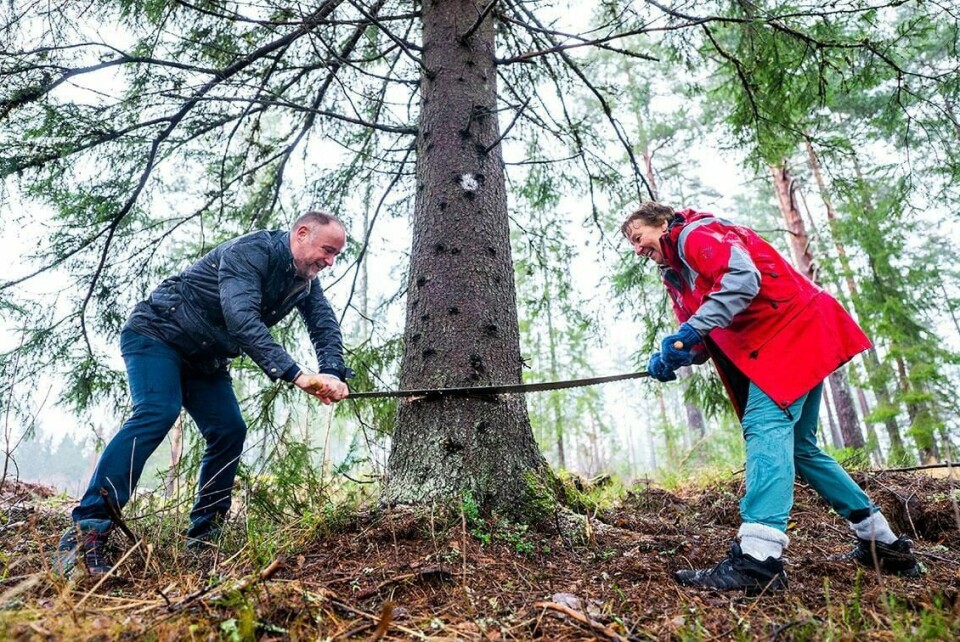 JULEGRAN: Richard Wood og Marianne Borgen var med og felte Oslos gave til London.