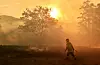 A firefighter defends a property from a bushfire at Hillville near Taree, 350km north of Sydney on November 12, 2019. - A state of emergency was declared on November 11 and residents in the Sydney area were warned of 'catastrophic' fire danger as Australia prepared for a fresh wave of deadly bushfires that have ravaged the drought-stricken east of the country. (Photo by PETER PARKS / AFP)