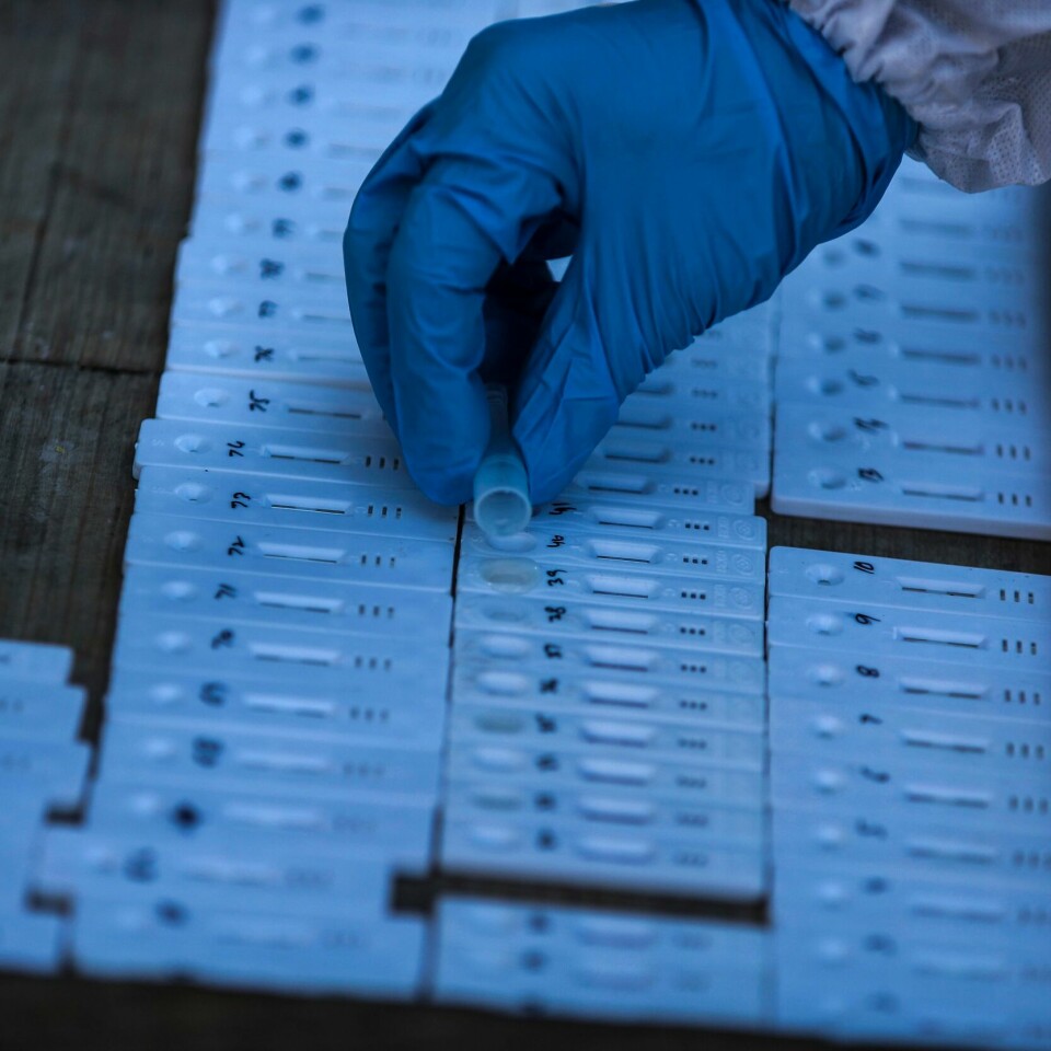 SYKDOM: EUs legemiddelbyrå EMA tror korona vil bli en vanlig sykdom, slik som influensa. En helsearbeider i India koronatester prøver tatt på et marked i Jammu. Omikronvarianten av koronaviruset har ført til økt smittespredning, som i sin tur også gjør et økende antall personer immune. Foto: Channi Anand / AP / NTB