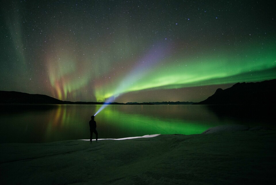 NORDLYS: På lørdag kan det bli mye nordlys. Bildet viser nordlys over Vestfjorden sett fra Hamarøy, Nordland.