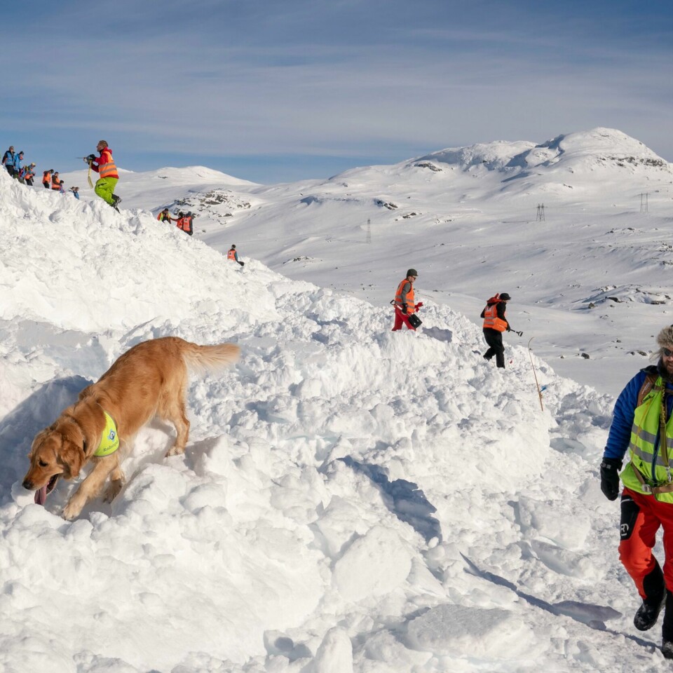 FJELLET: Det har vært mange snøskred den siste tiden. Når folk drar på fjellet i påsken, er det lurt å kunne fjellvettreglene. Bildet viser en redningsmannskap og en redningshund. De er på fjellet om vinteren.