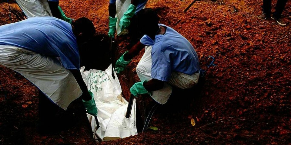 DØD: En person som døde av ebola, blir begravet i Sierra Leone. Viruset truer verdens helse, mener Verdens helseorganisasjon.