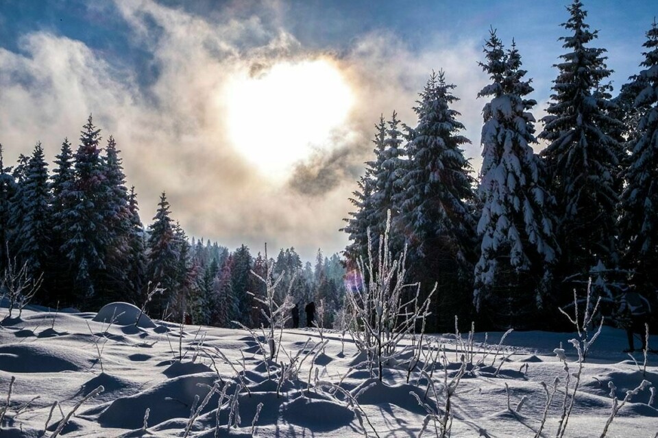 VARMT: Sola har smeltet bort mye snø. Februar ble mild med flere varmerekorder.