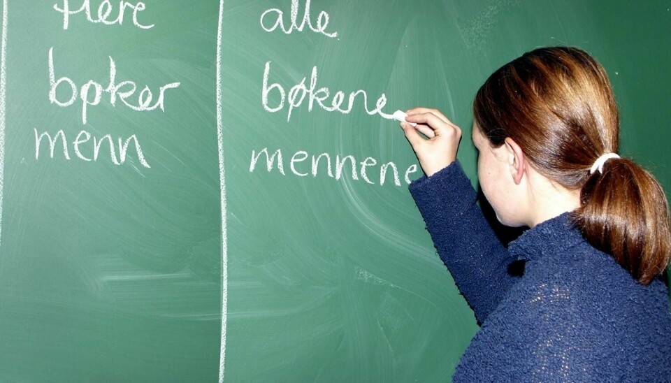 SPRÅK: Å lære norsk er viktig for å være en del av samfunnet.