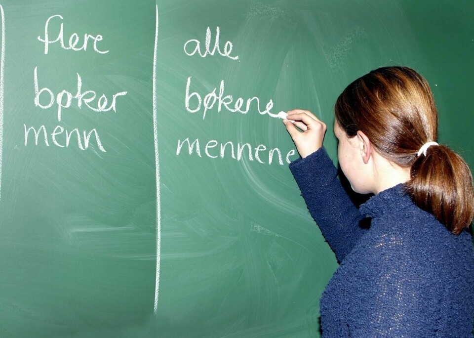 SPRÅK: Å lære norsk er viktig for å være en del av samfunnet. I en krise er det viktig å få med seg informasjon om det som skjer.