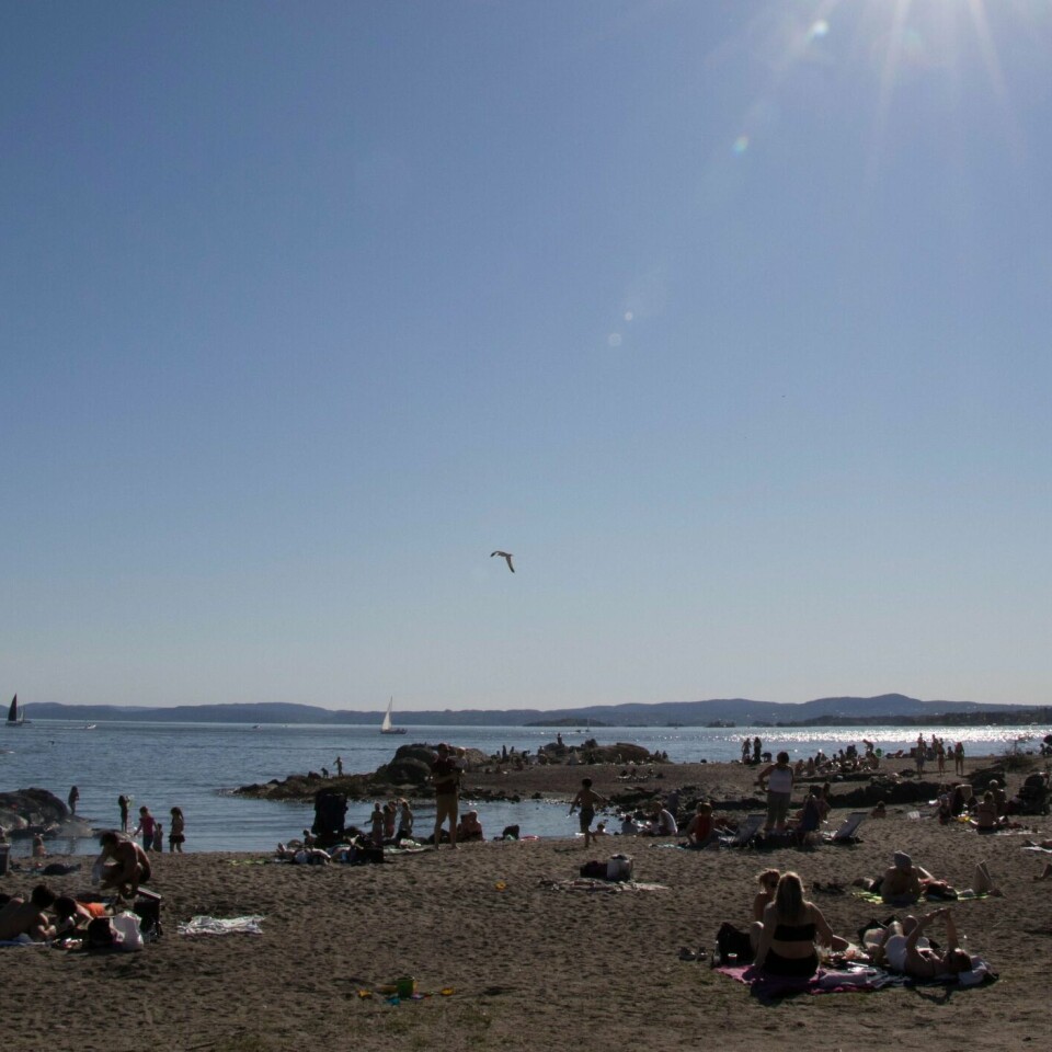 SOL: Sola steker her på Bygdøy i Oslo. Folk nyter fineværet.